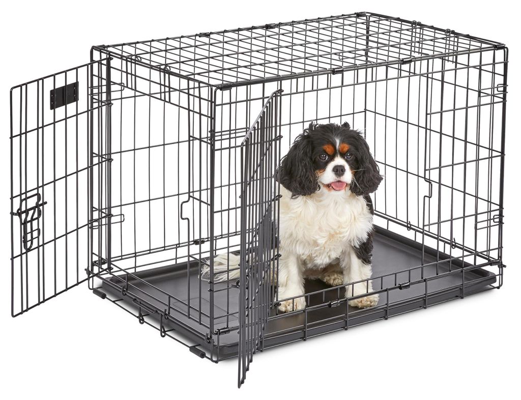 MidWest iCrate Dubbele Deur Hondenkennel, maat M, Productafbeelding 