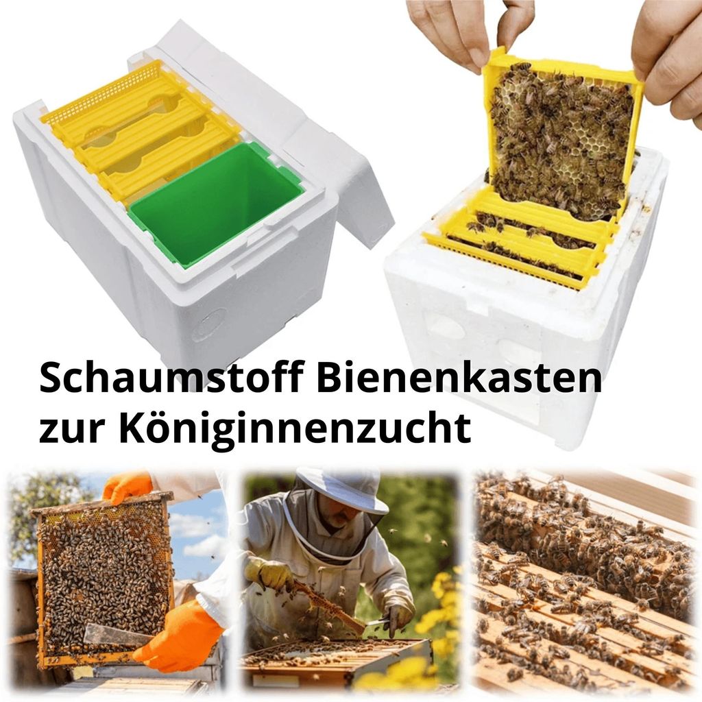 Schaumstoff Bienenkasten zur Königinnenzucht – Mini-Nuc & Paarungskasten – Bestäubungsbox für Imker – Wetterfest & temperaturregulierend