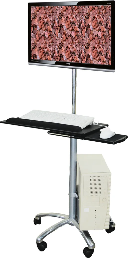 Rouleau pour écran LCD VALUE avec barre de guidage robuste de 10 kg - 3