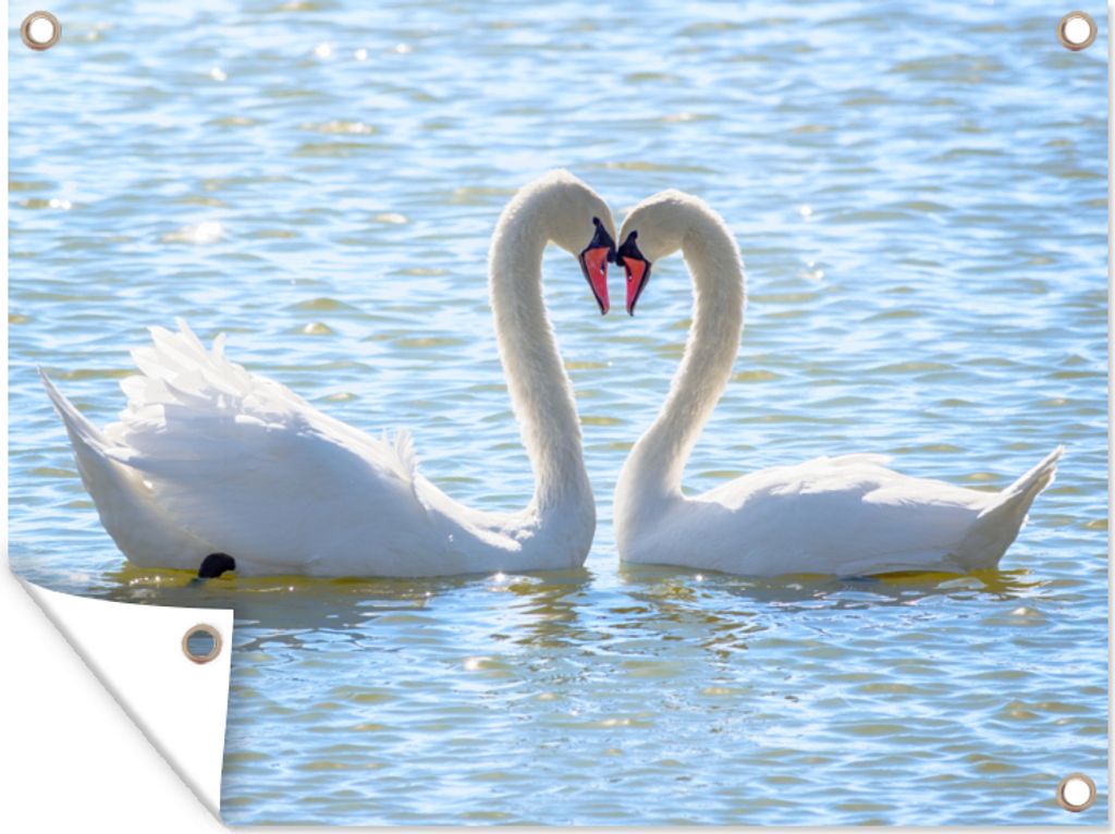 MuchoWow 40x30 cm Outdoor-Poster Gartendeko Sichtschutz Garten Poster für den Garten Vögel - Schwan - Wasser - Liebe - Sonne