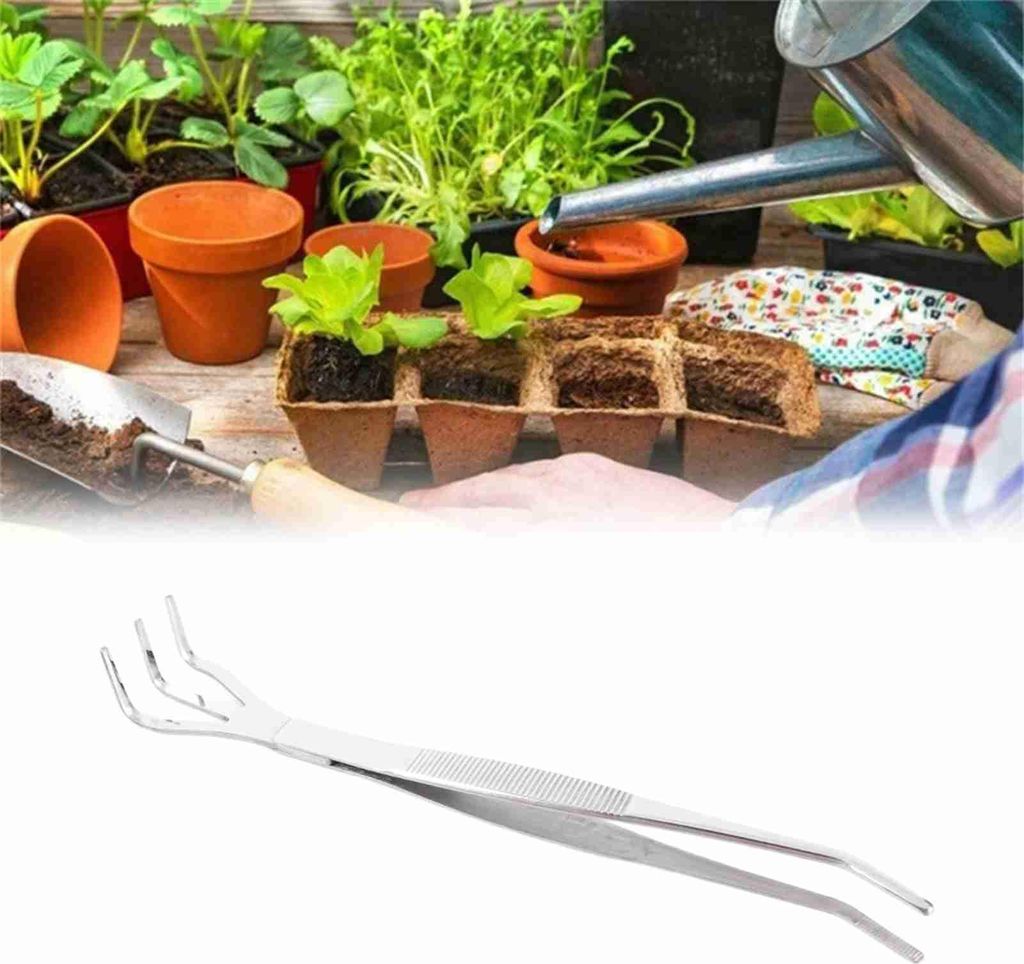 2 in 1 Bonsai Root Rake Stainless Steel Garden Tweezers Garden Tool