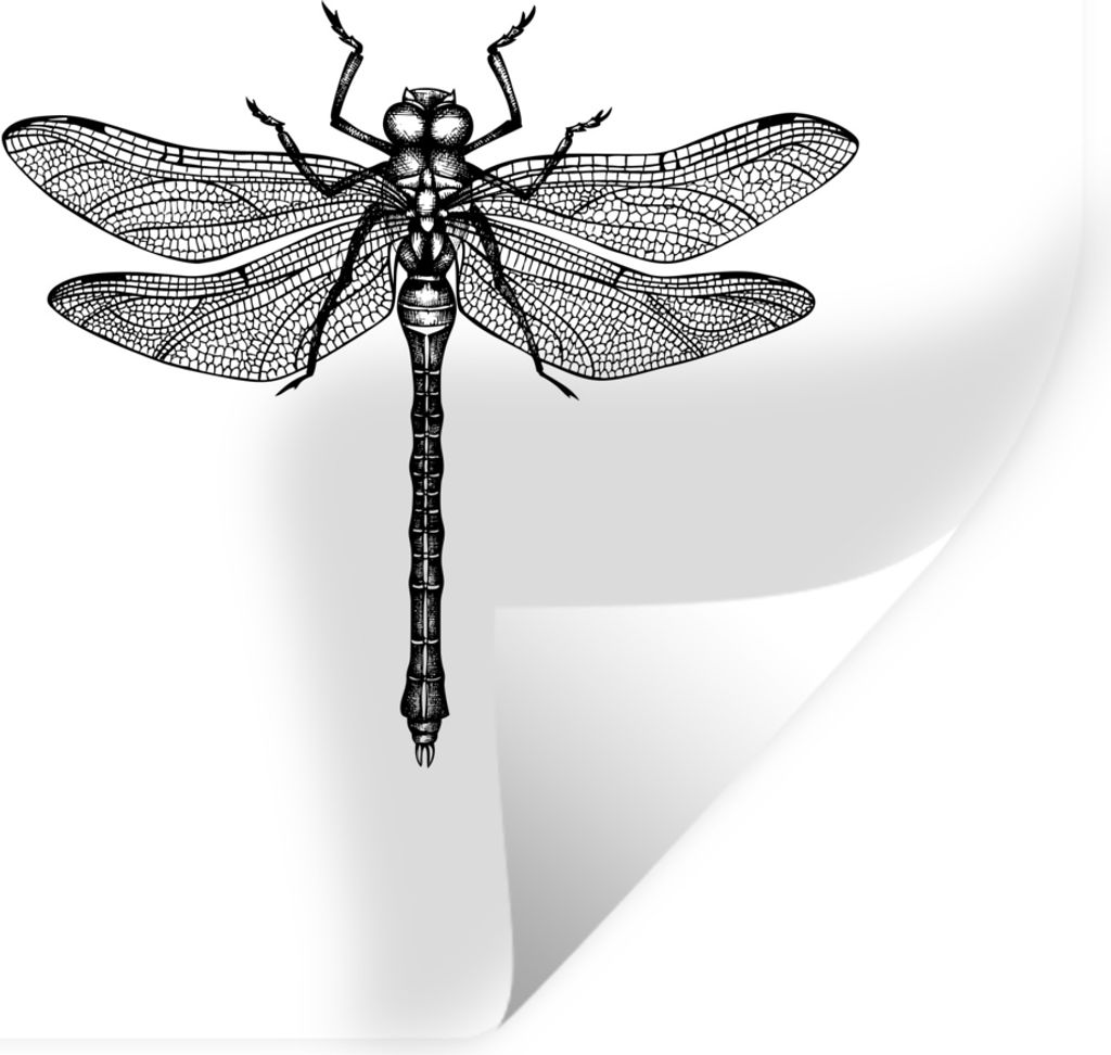 MuchoWow Wandtattoo Wandsticker Wandaufkleber Libelle - Insekten - Retro - Schwarz und weiß 50x50 cm Selbstklebend und Repositionierbar - Selbst...