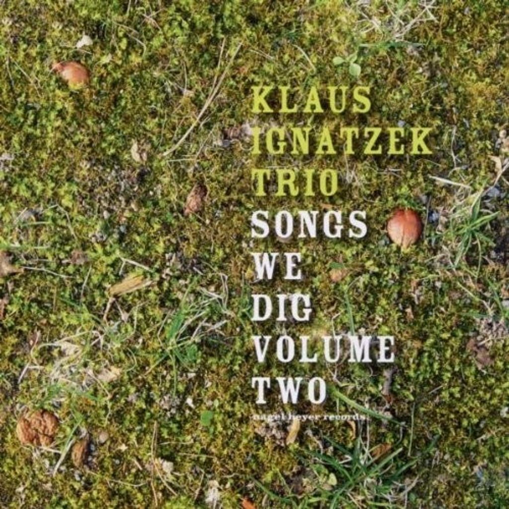 Ignatzek,Klaus Trio-Songs We Dig Vol.2