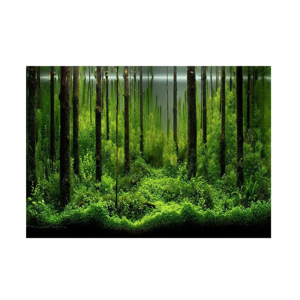 Poster Acquario Foresta Subacquea 61x41cm - Sfondo PVC Adesivo 3D