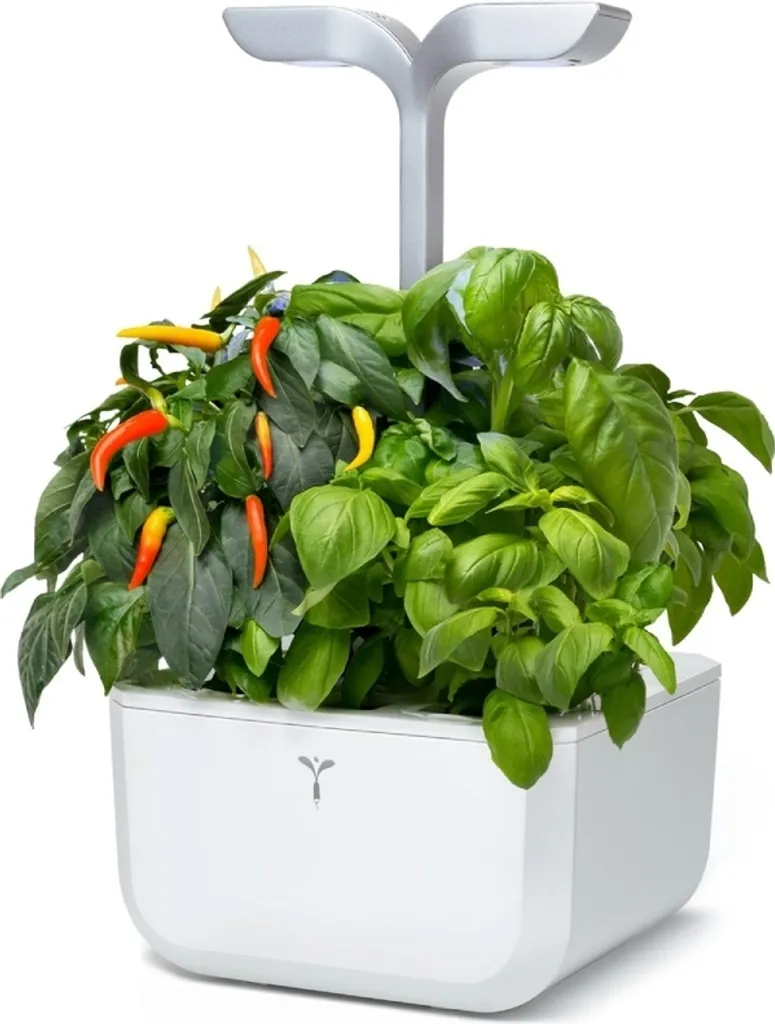 Véritable Exky SMART, potager d'intérieur LED autonome, blanc arctique