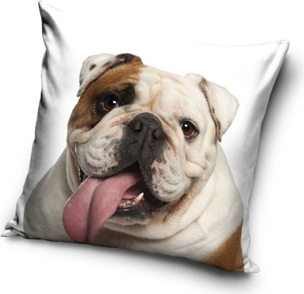 Hunde Kissenbezug Maße ca.: 40 x 40 cm