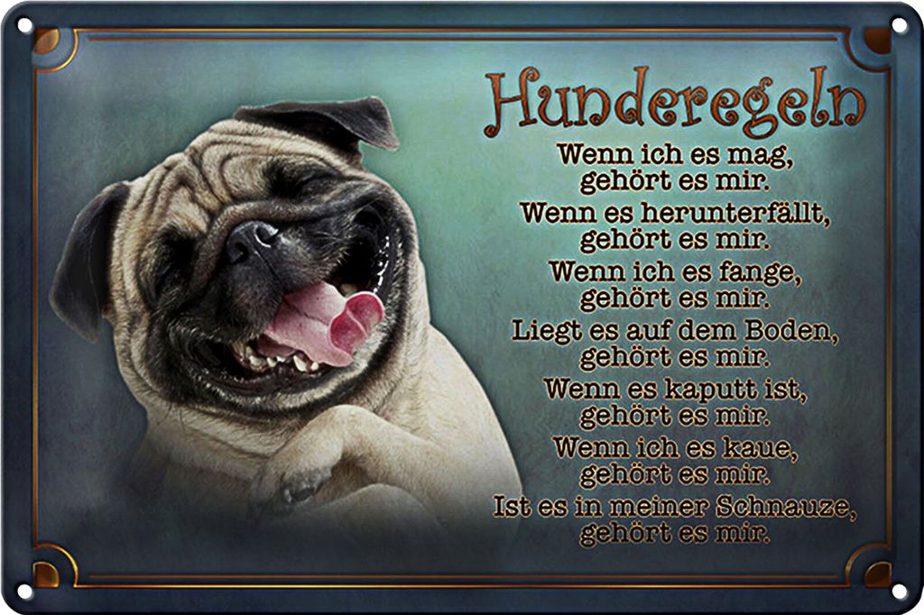 Blechschild Spruch 40x30cm Hunderegeln wenn ich es mag