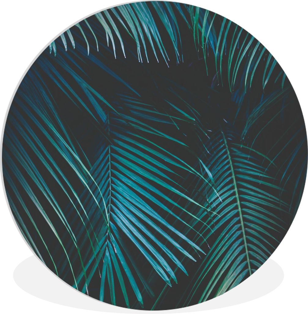 MuchoWow Rundes Wandbild - Runde Bilder Palme - Palmenbaum - Tropisch Ø 90 cm Kreis Wanddekoration Kunststoff - Wandkreis - Wandschmuck - Wand-K...