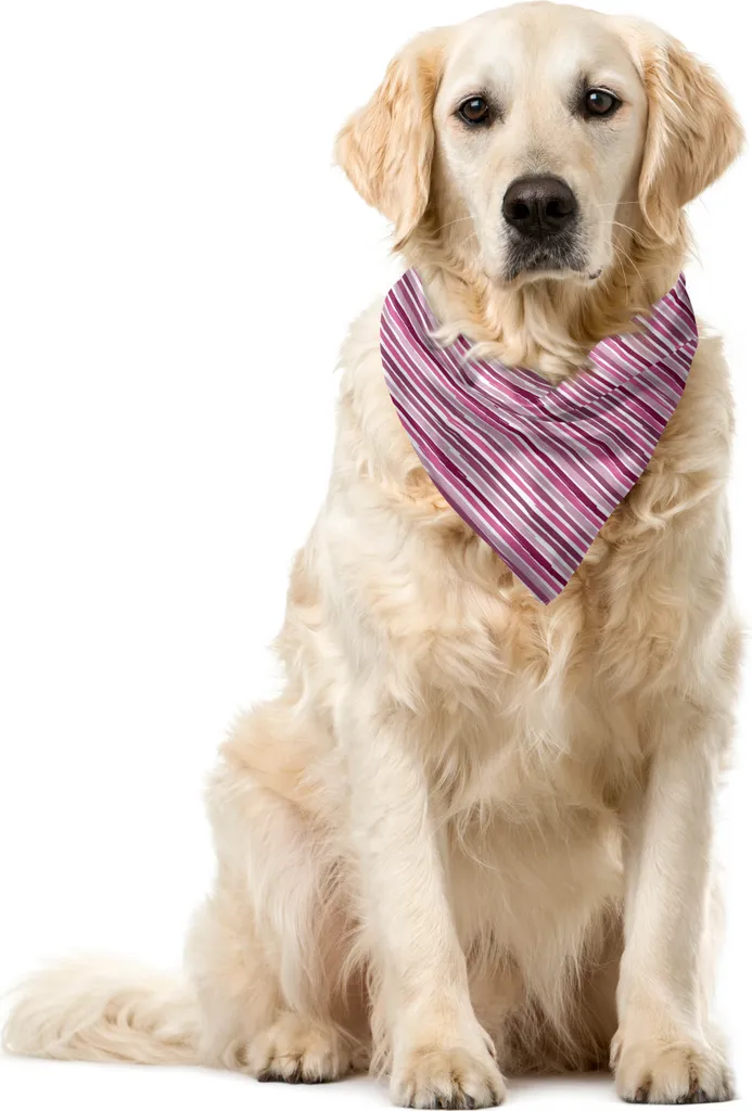 Foulard Pet ABAKUHAUS Design Righe Malva - Eleganza 55x55 cm