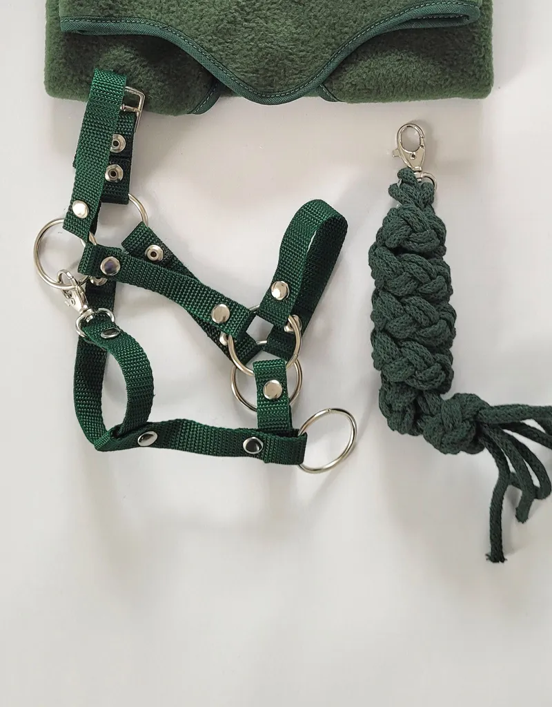 Accessoire Hobby Horse A3 : Bride Robuste et Corde Vert Bouteille Chic - 3