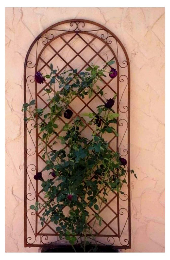 Rankgitter Spalier Wand Rankhilfe Sichtschutz Metall Provence ROST