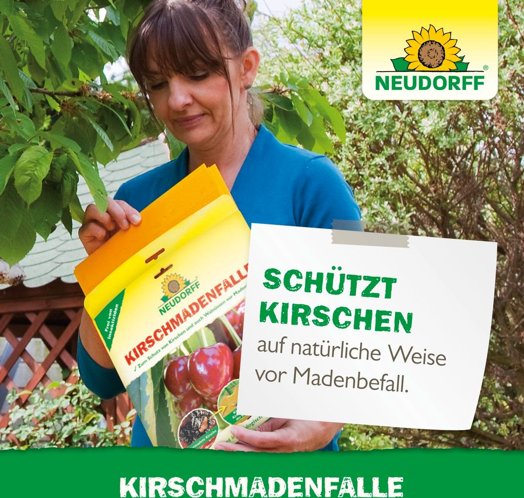 Neudorff KirschmadenFalle 7 Stück Produktbild 6