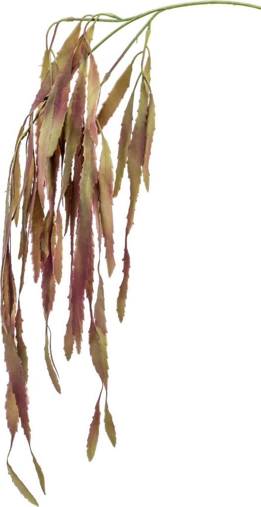 artplants.de Dekozweig Rhipsalis EHUD, braun-lila, 80cm - Kunstzweig Binsenkaktus/Korallenkaktus Deko AST