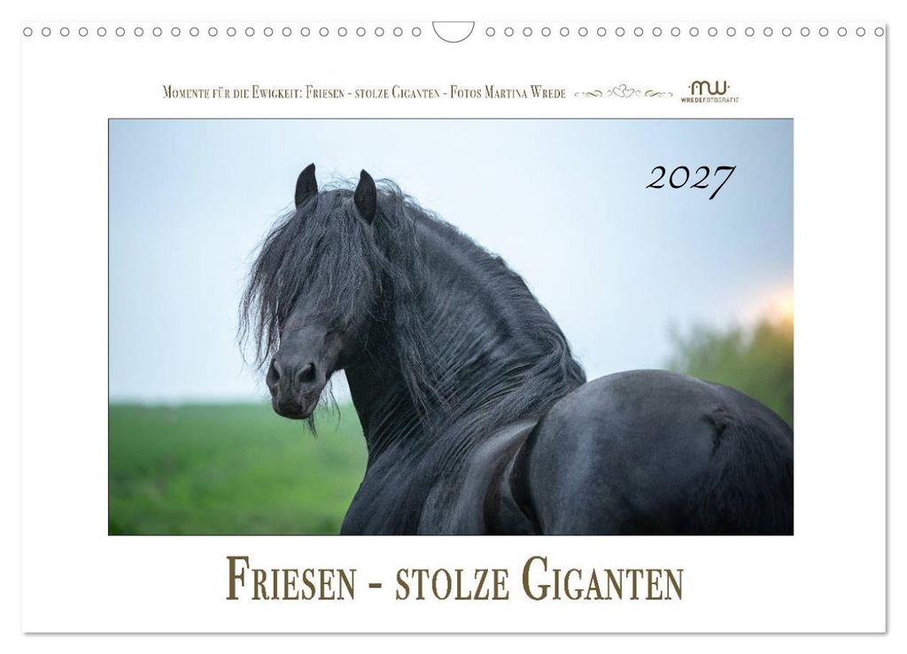 Friesen - stolze Giganten (Wandkalender 2027 DIN A3 quer), CALVENDO Monatskalender