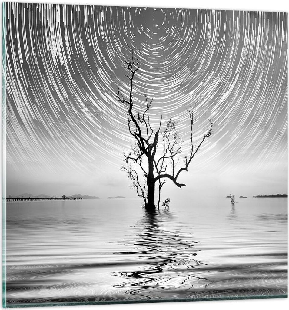 Bilder auf glas - Einteilig - Schwarzweiß Baum See - 70x70cm - Glasbilder - Wandbilder - Bilder - zum Aufhängen bereit - Wanddekoration aus Glas ...