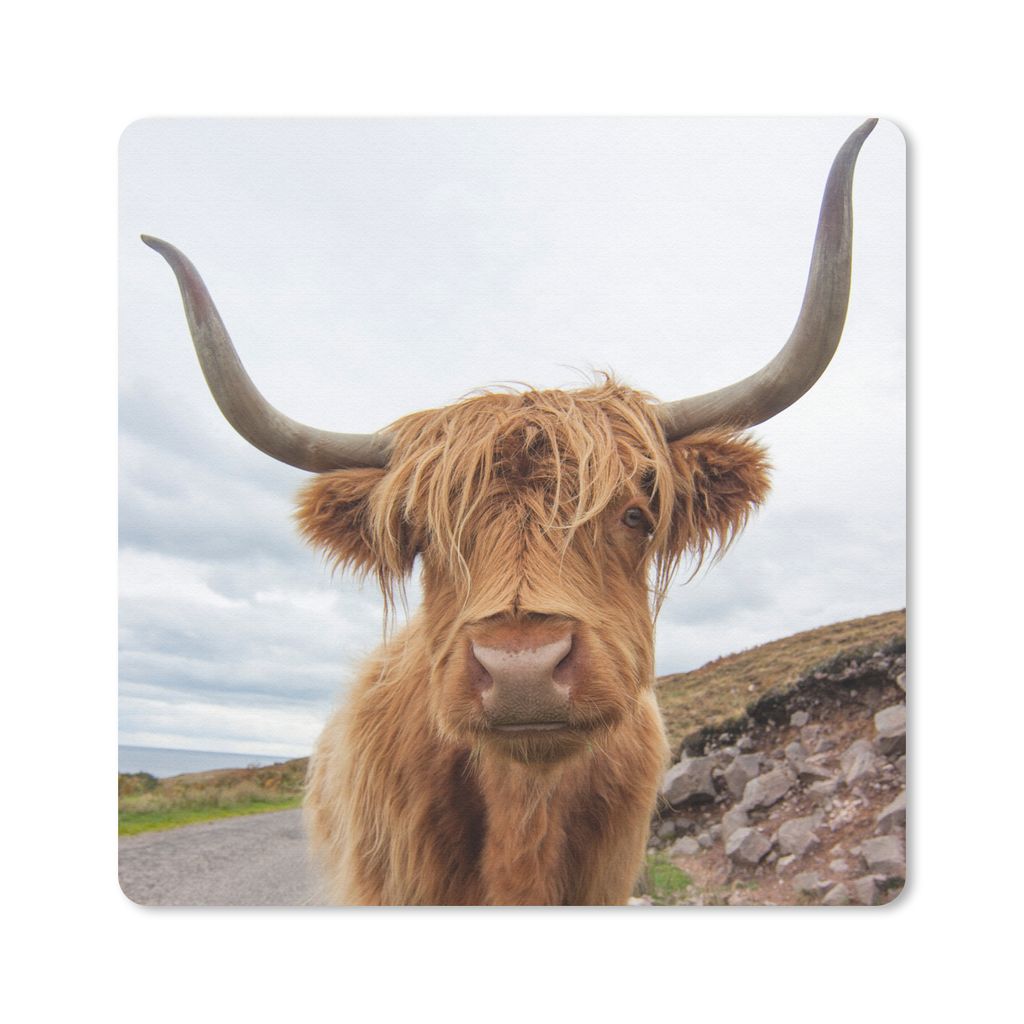 MuchoWow Mauspad Mousepad Schottischer Hochländer - Kuh - Landschaft 20x20 cm - Mousepads - Maus Mat - Pad - Mausunterlage - Desk Mat - Bureauar...