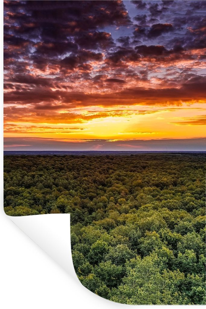 MuchoWow Wandtattoo Wandsticker Wandaufkleber Wald - Nacht - Himmel - Horizont - Bäume 20x30 cm Selbstklebend und Repositionierbar - Sticker - D...