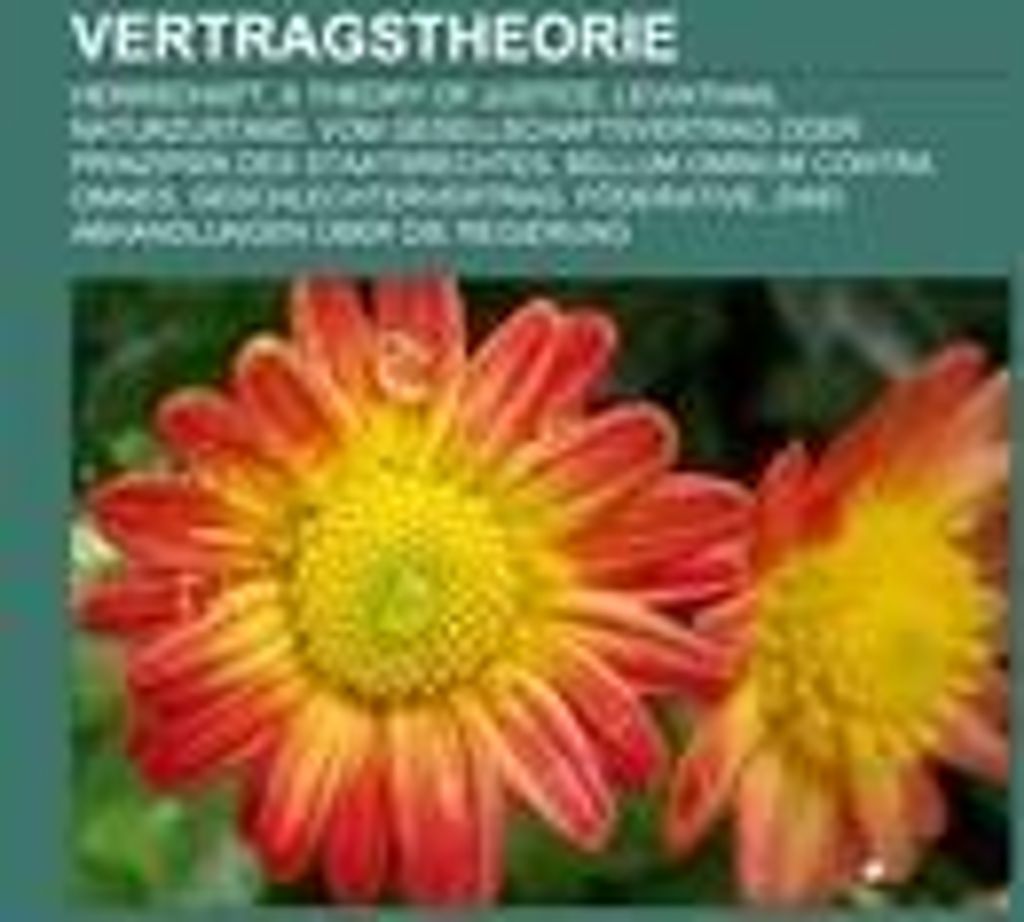 Vertragstheorie