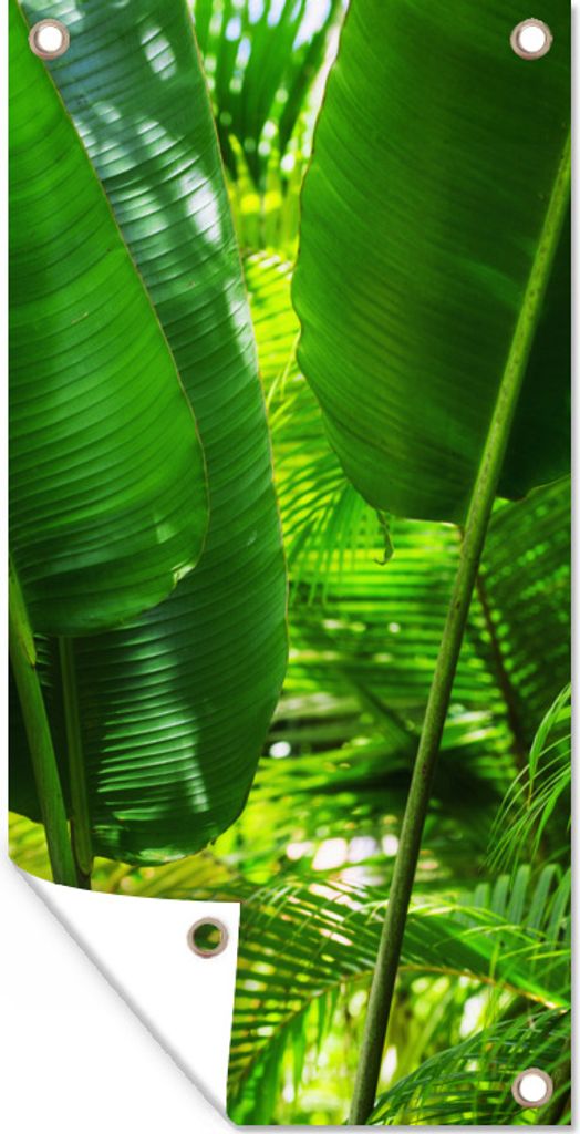 MuchoWow 80x160 cm Outdoor-Poster Gartendeko Sichtschutz Garten Poster für den Garten Tropische Blätter im Dschungel Fotodruck