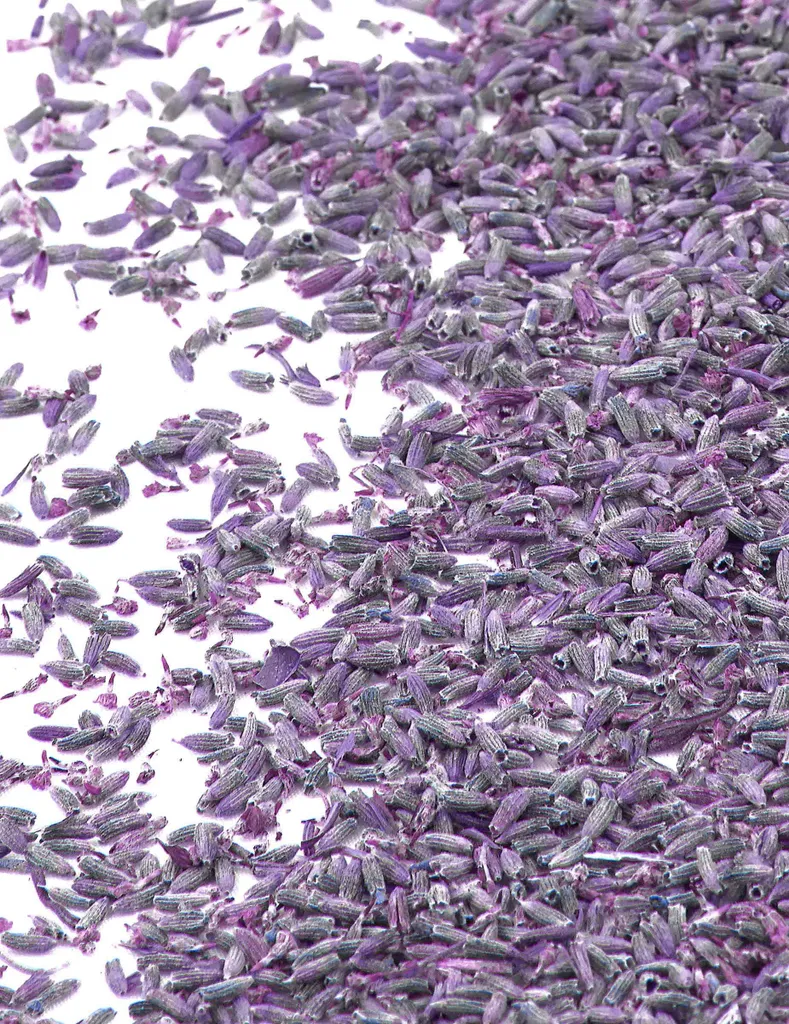 Fleurs de lavande 1 kg séchées naturellement - Parfum longue durée DIY
