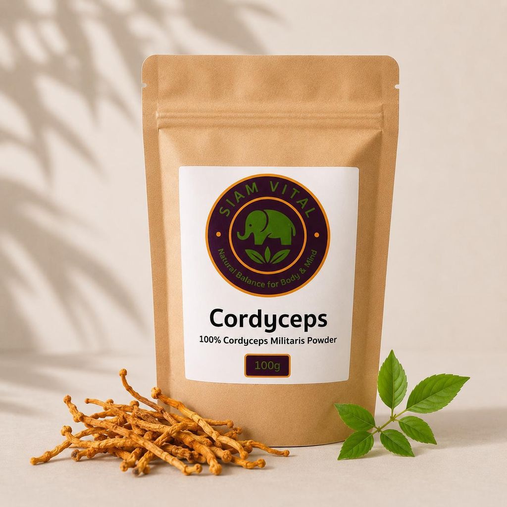 Cordyceps Militaris Pilzpulver