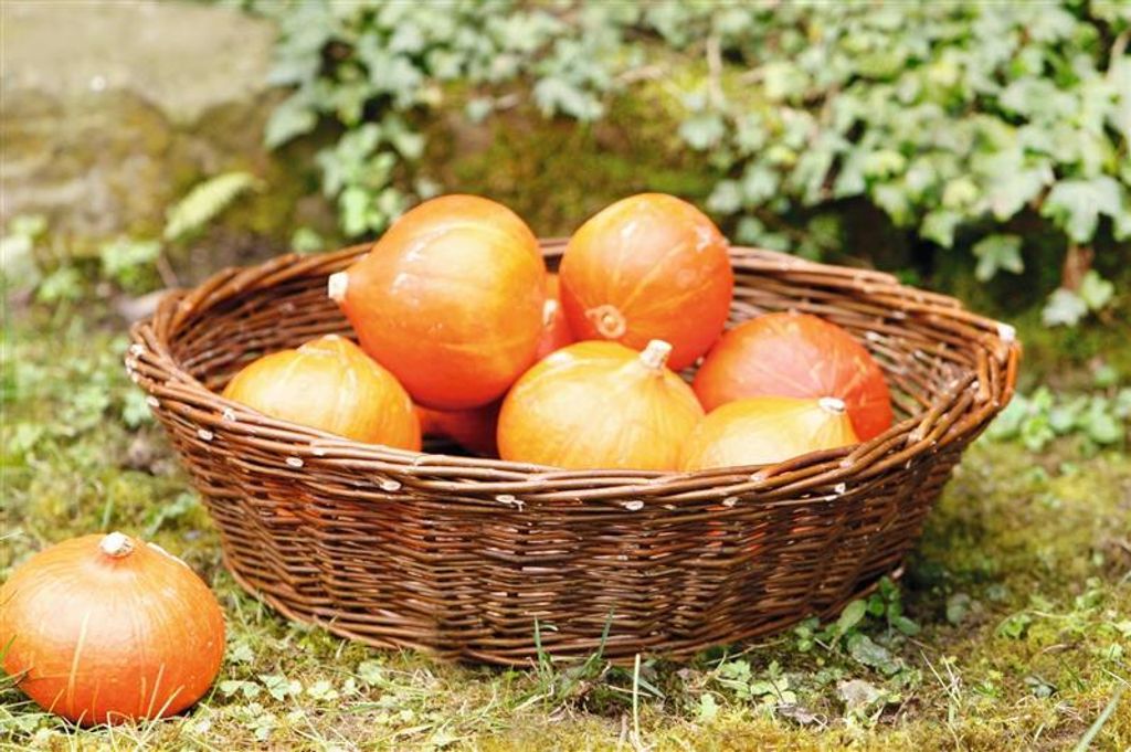 große Schale "Maxi" aus Weide, braun, Ø 50x14 cm, Obstschale, Dekoschale