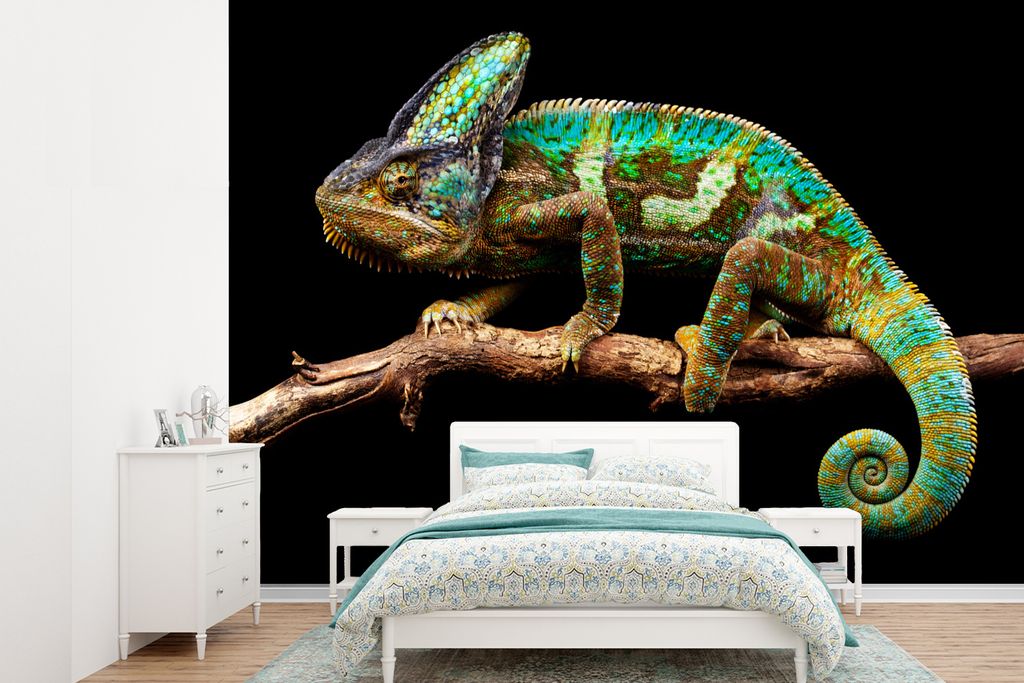 MuchoWow Fototapete für Wohnzimmer oder Schlafzimmer Wandtapete Vinyl Motivtapete Chamäleon für schwarzen Hintergrund - 385x280 cm - Wallpaper