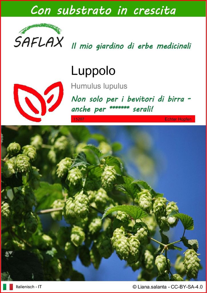 SAFLAX  - Luppolo - 50 semi - Con substrato - Humulus Immagine del prodotto 