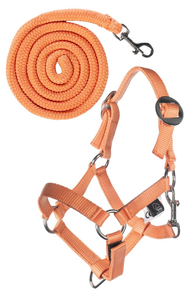 HKM Kids Halfter und Strick Hobby Horsing Basic Arancione Immagine del prodotto 