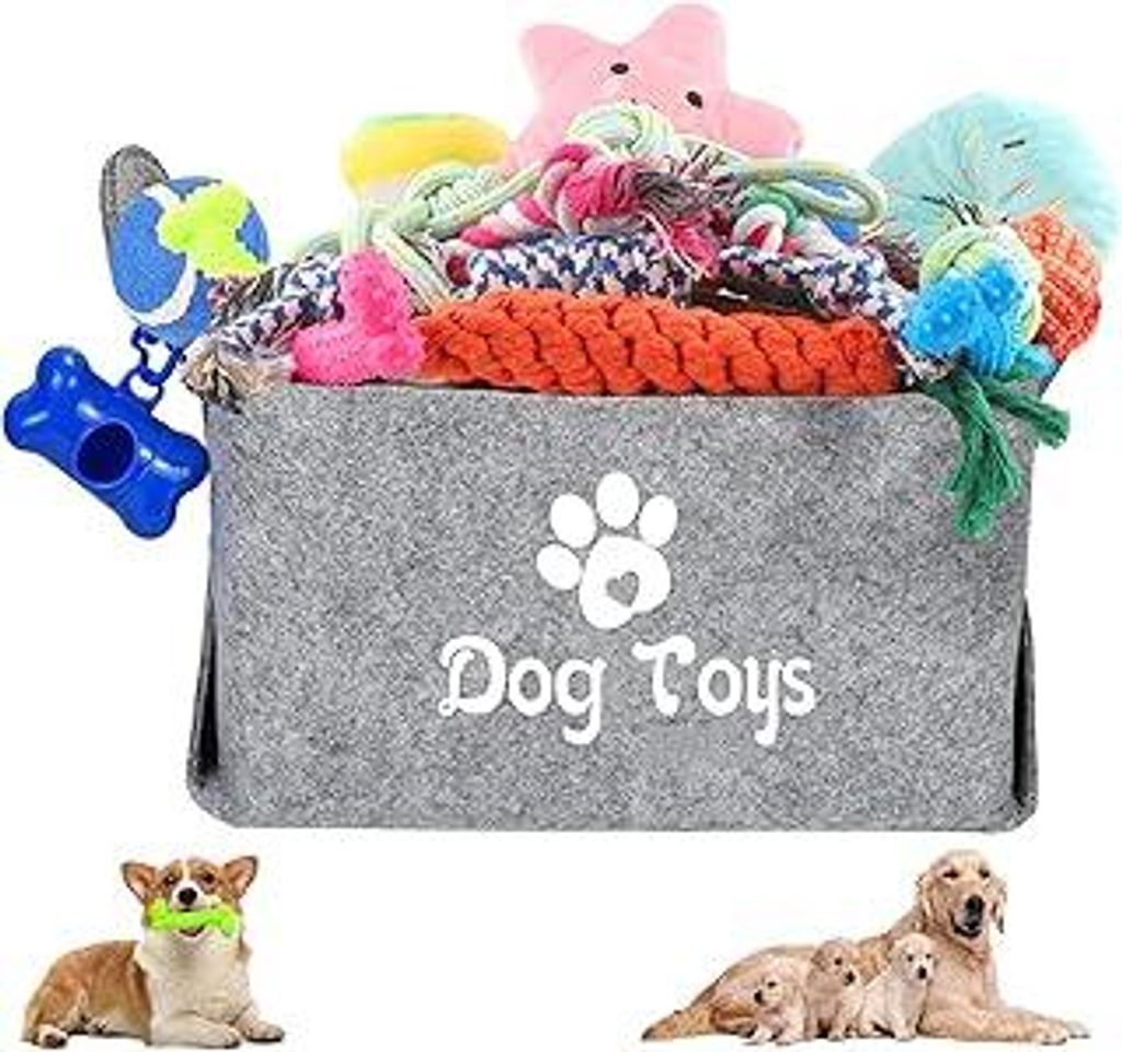 24 Stück Welpenspielzeug Set Quietschendes Hundespielzeug und Kauspielzeug für Kleine Hunde Interaktives Hundeseile Spielzeug aus Baumwolle Welpe...