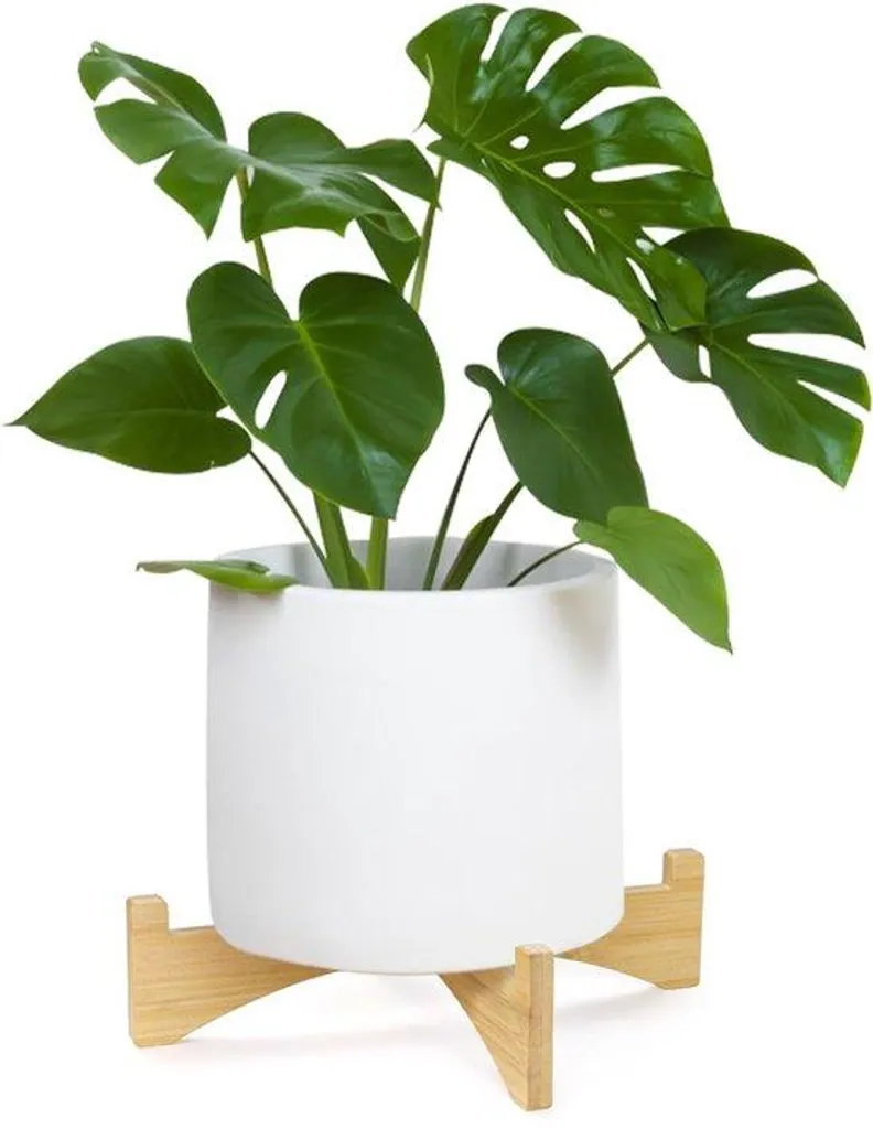Support pour plantes en bambou à 5 tailles pour intérieur et extérieur