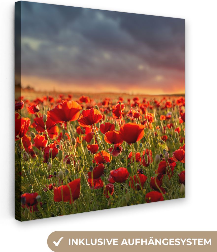 MuchoWow - Leinwandbilder - Sonnenuntergang über einem Feld von Mohnblumen, Wandbild, Wanddeko Bilder Wohnzimmer, 50x50 cm