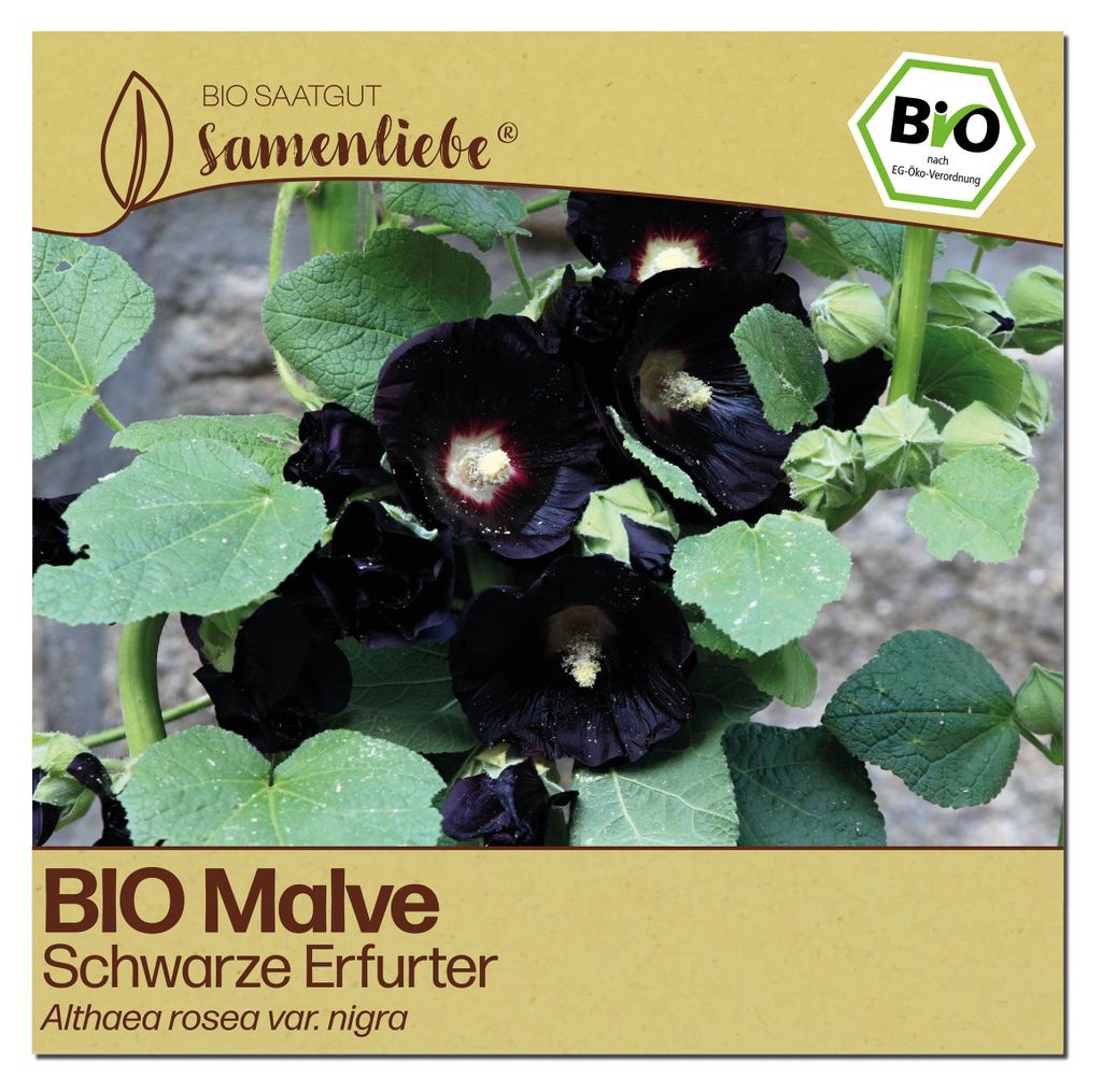 Samenliebe  Malve Samen | Schwarze Erfurter - schwarz - Produktbild 