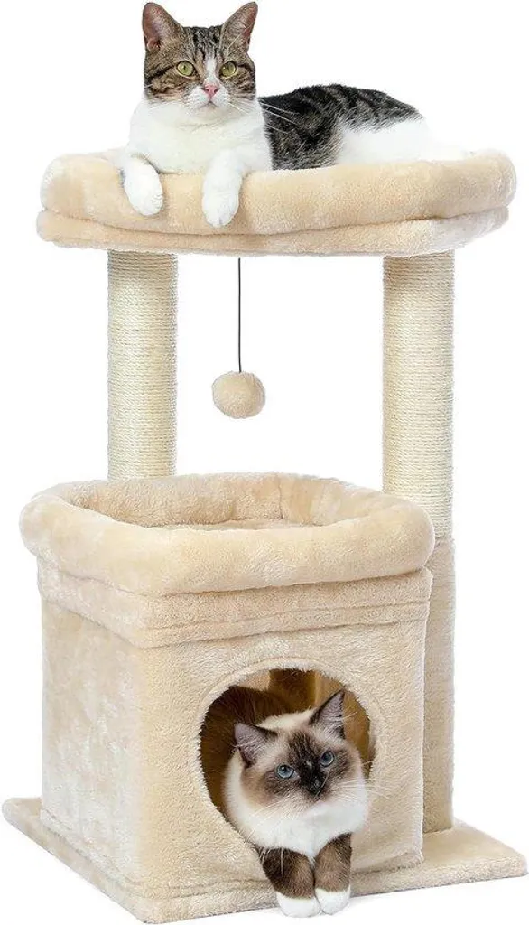 Petit arbre à chat design avec maison de repos et griffoir robuste