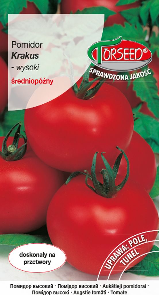 Samen von Krakus große Tomate 0.5g - Torseed Produktbild 