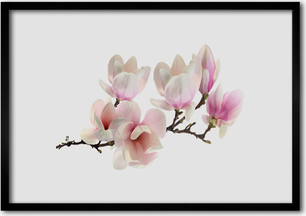 Bild 70x50 MDF-Rahmen Wandkunst Blumen Pflanzen Natur