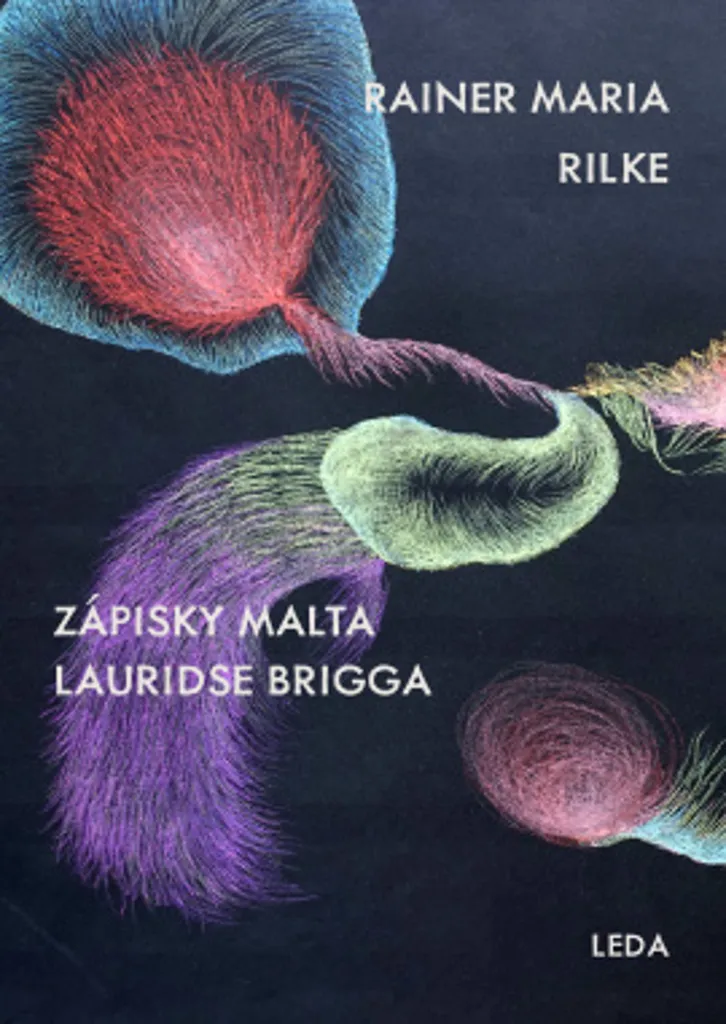 Comprendre la Solitude avec Les Carnets de Malte Laurids Brigge Rilke