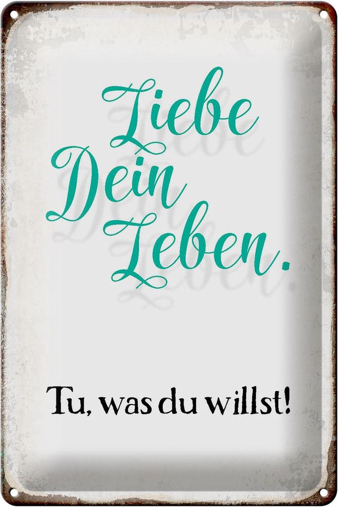 Blechschild Spruch 20x30cm liebe dein Leben tue was willst