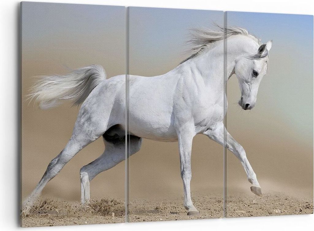 Bild auf Leinwand - Leinwandbild - Pferd weiß Tier - 105x70cm - Wand Bild - Wanddeko - Wandbilder - Leinwanddruck - Bilder - Kunstdruck - Wanddeko...