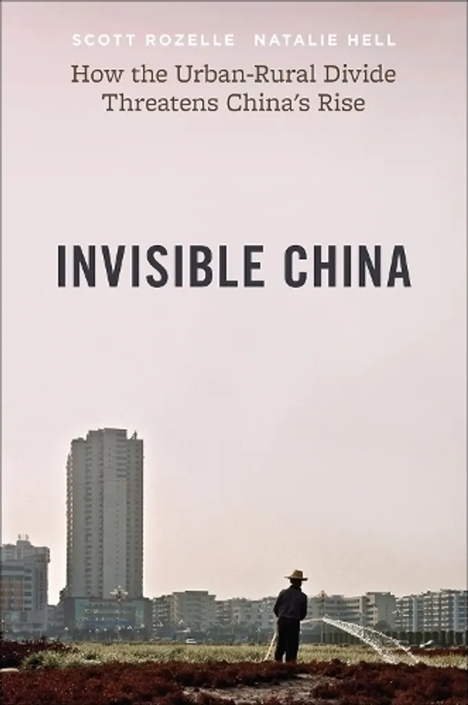 Comprendre l'économie chinoise : livre Invisible China Lingua Inglese
