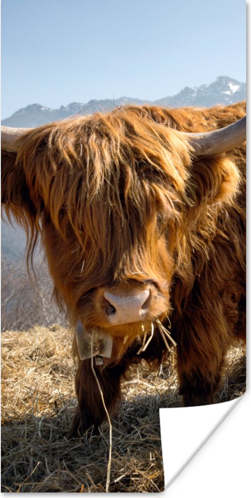 MuchoWow Poster Schottischer Highlander - Berg - Schnee 60x120 cm - Wandschmuck