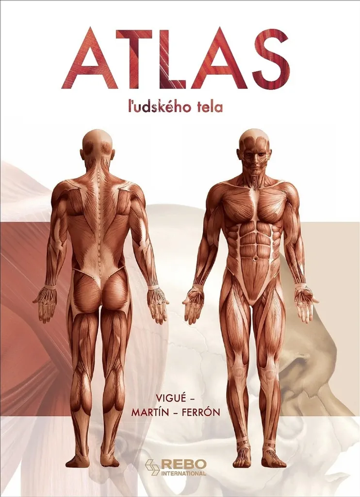 Livre Atlas d'Anatomie Humaine Complet avec Planches Détaillées HD