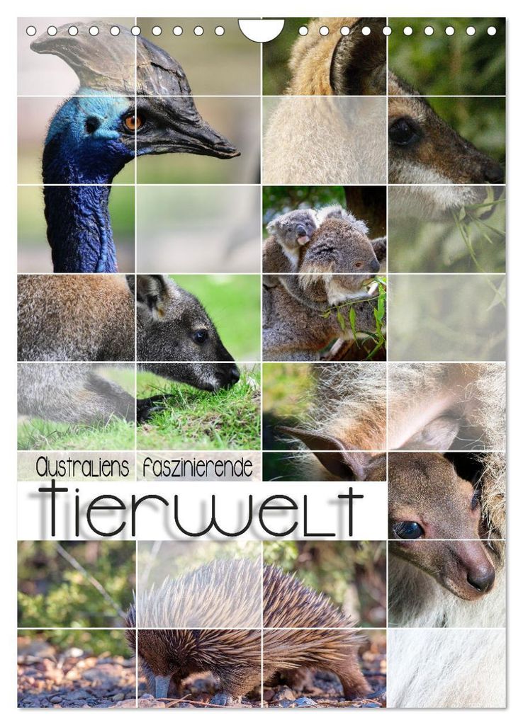 Australiens faszinierende Tierwelt (Wandkalender 2027 DIN A4 hoch), CALVENDO Monatskalender