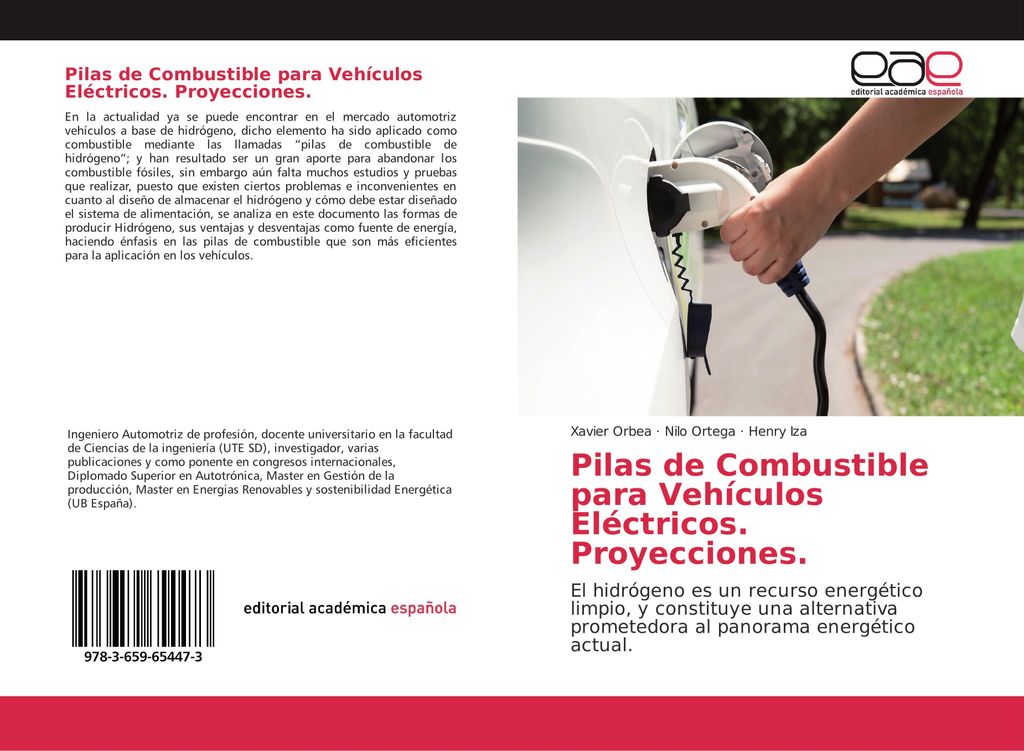 Pilas de Combustible para Vehículos Eléctricos Proyecciones