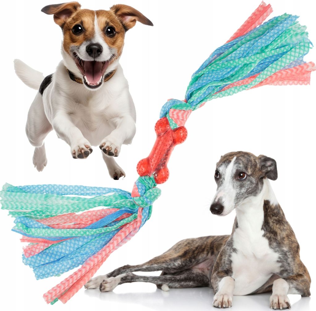 Hundespielzeug Zahnknochen mit Schnur für Welpen