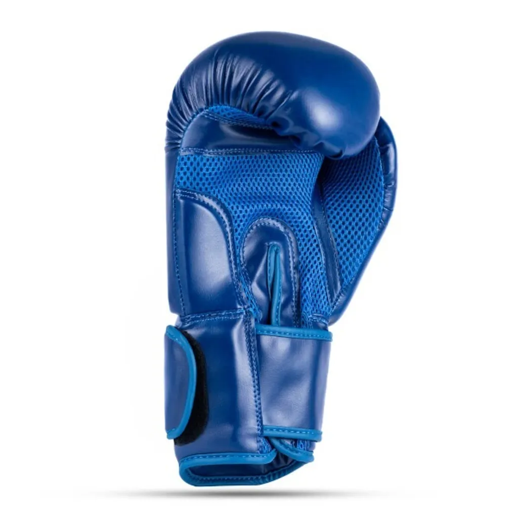 Gants de boxe avec protection poignet DBX BUSHIDO ARB-407-Blue 10oz