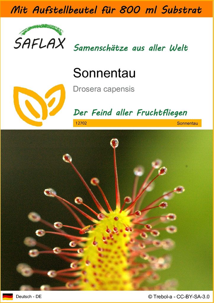 SAFLAX - Garden in the Bag - Sonnentau - 200 Samen - Mit Anzuchtsubstrat im praktischen, selbst aufstellenden Beutel - Drosera capensis