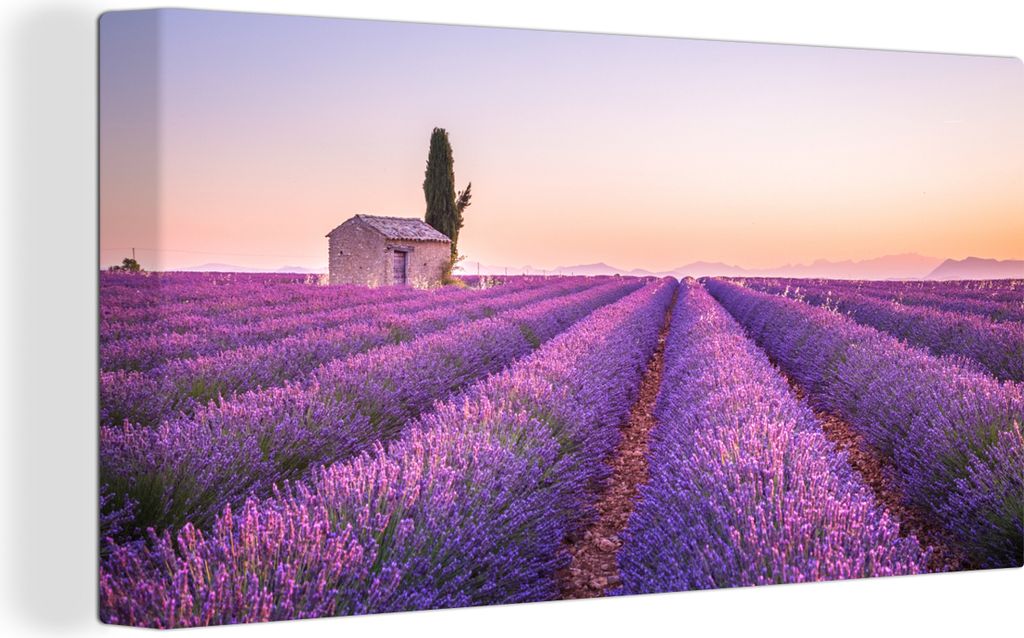 OneMillionCanvasses® Malba na plátně Nástěnná malba na Obrázek produktu 