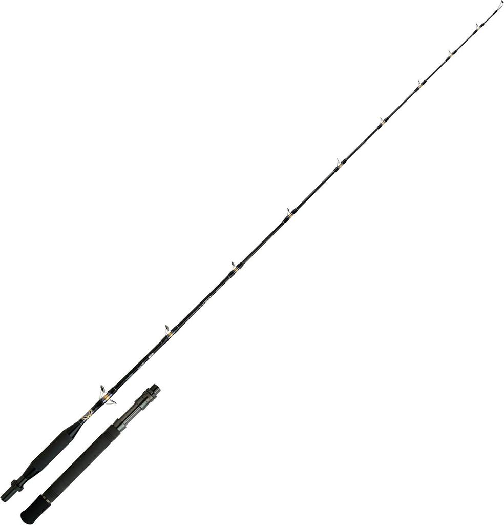 Shimano Tyrnos B Trolling Lite Produktbild 