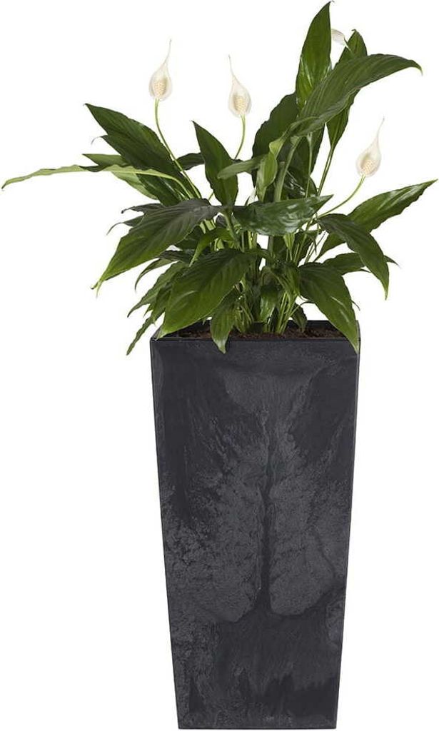 Prosperplast 7.2l Urbi Square Beton Effect Collection Produktbild 14